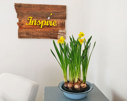 INSPIRE –  עץ ממוחזר וכיתוב על הקיר