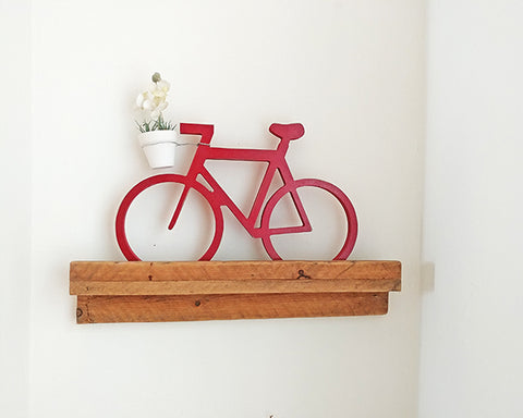 אמסטרדם - אופניים צבעוניים ומעמד לעציץ - אדום