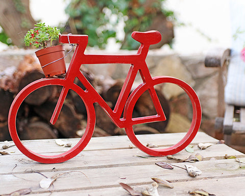 אמסטרדם - אופניים צבעוניים ומעמד לעציץ - אדום