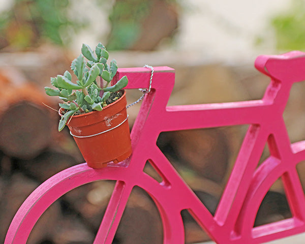 אמסטרדם - אופניים צבעוניים ומעמד לעציץ - ורוד