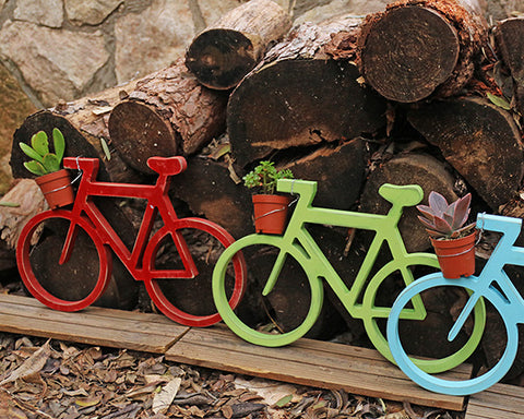 אמסטרדם - אופניים צבעוניים ומעמד לעציץ - ירקרק