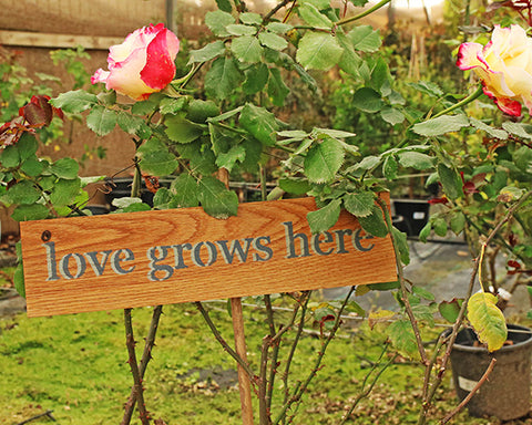 שלט עץ לבית ולגינה - love grows here