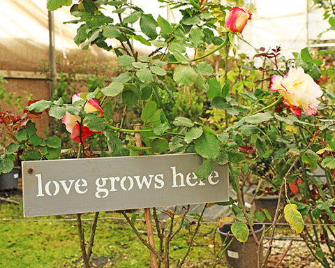 שלט עץ לבית ולגינה - love grows here