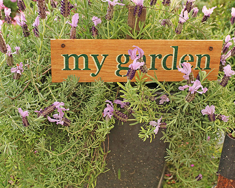 שלט עץ לבית ולגינה - my garden