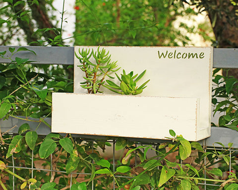 welcome – שלט מעוצב עם כיתוב ומעמד לעציצים - לבן